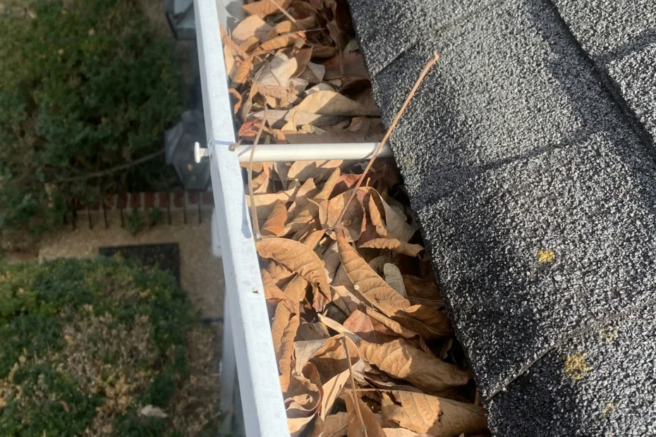 Gutter Cleaning Monroe